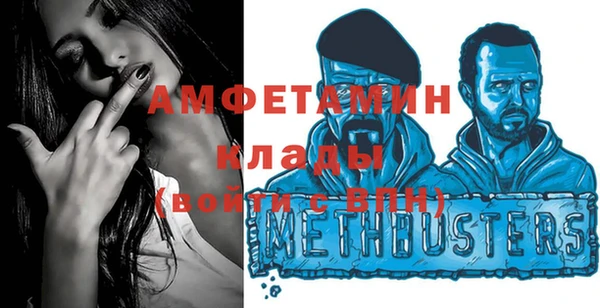 прущие грибы Тобольск