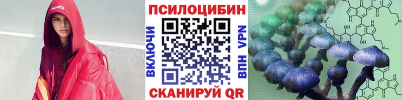 гидра онион  Дубовка  Галлюциногенные грибы Magic Shrooms 